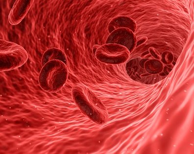 Hội nghị khoa học Thalassemia toàn quốc lần III