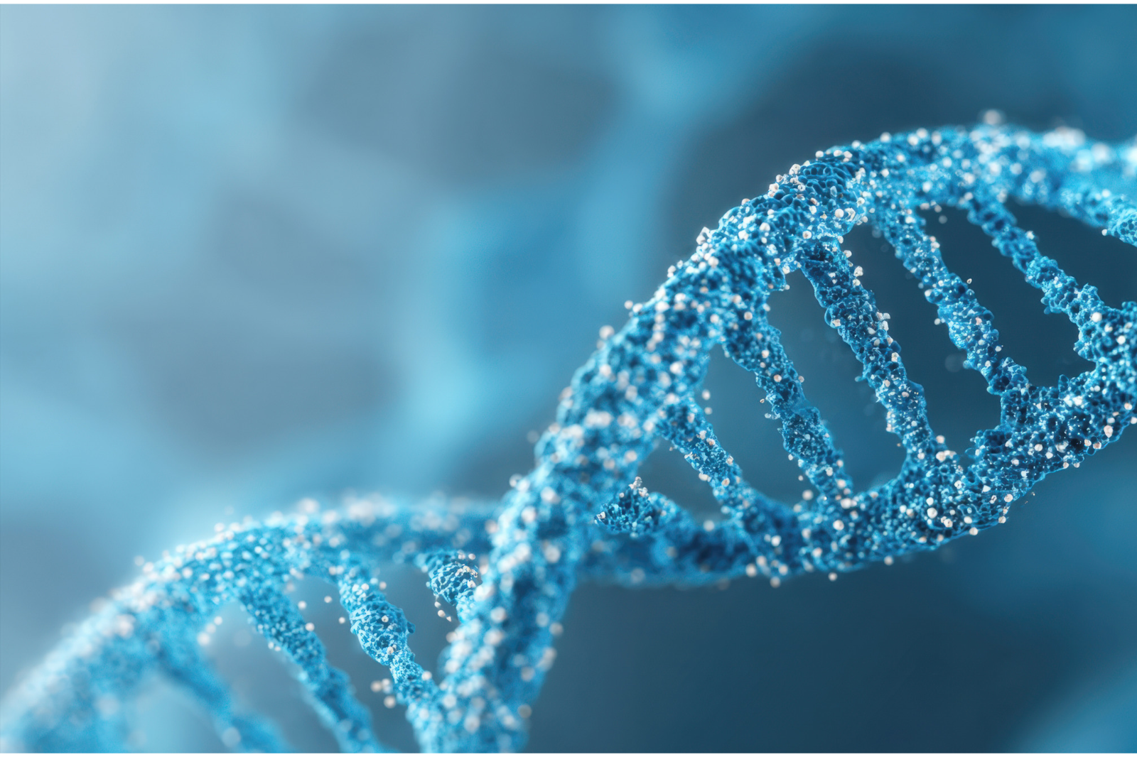 Setting new standards for medical diagnostics in Vietnam