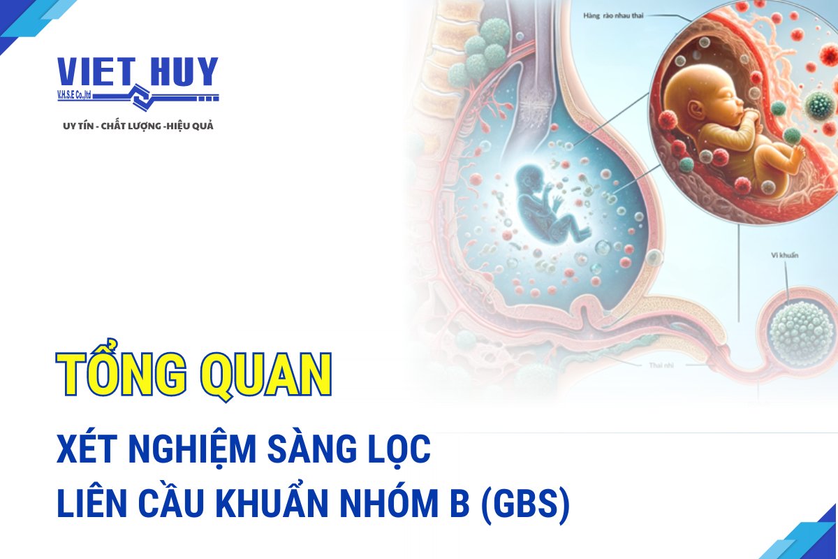 XÉT NGHIỆM SÀNG LỌC LIÊN CẦU KHUẨN NHÓM B (GBS)