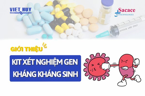 KIT XÉT NGHIỆM GEN KHÁNG KHÁNG SINH