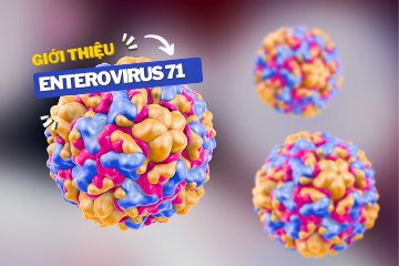BỘ XÉT NGHIỆM ENTEROVIRUS 71-TYPE REAL-TM (EV71)