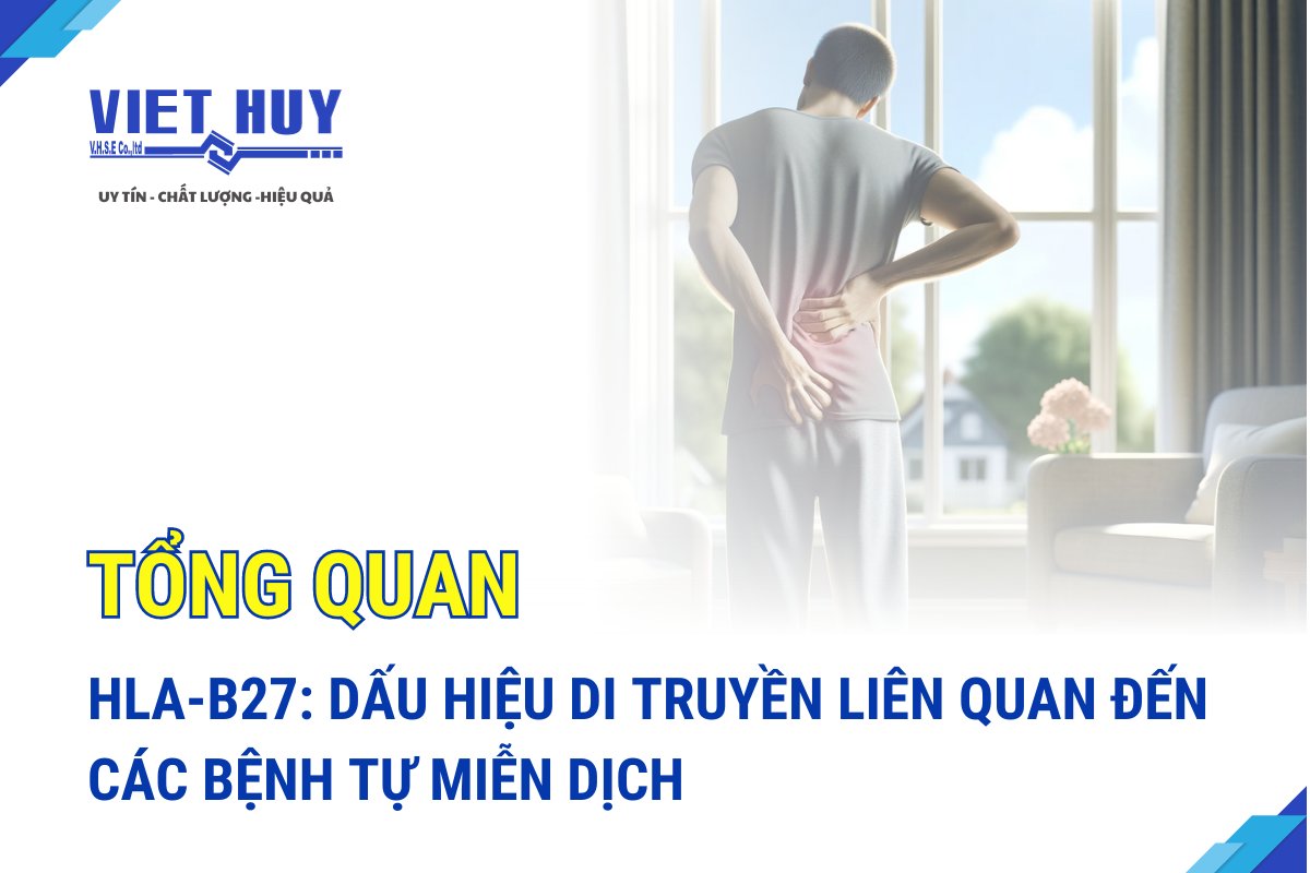 TỔNG QUAN HLA-B27: DẤU HIỆU DI TRUYỀN LIÊN QUAN ĐẾN CÁC BỆNH TỰ MIỄN DỊCH