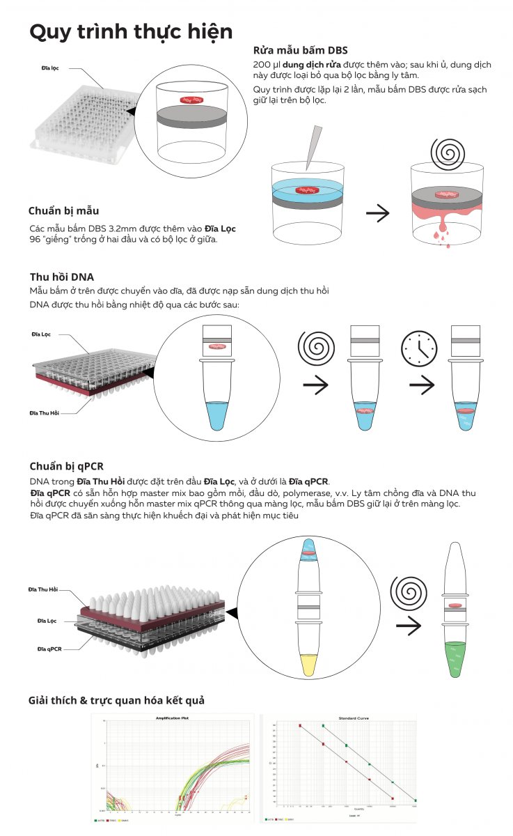 Quy trình thực hiện SPOT-it™ Screening Assay của hãng ImmunoIVD (Thụy Điển)