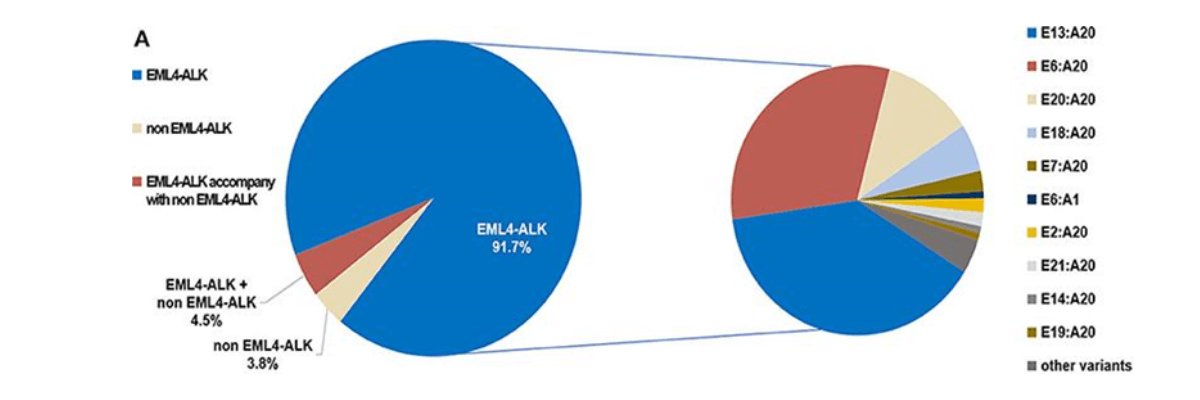 Biểu đồ tần suất các kiểu dung hợp EML4-ALK trong NSCLC, tập trung vào các biến thể phổ biến E13:A20, E6:A20, và các biến thể khác
