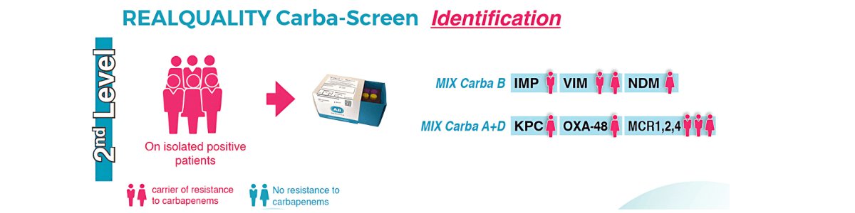 REALQUALITY Carba-Screen (identification) cho phép xác định chính xác gene carbapenemase và các gene kháng colistin
