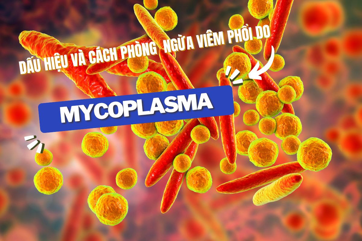 Mycoplasma pneumonia: Signs and prevention